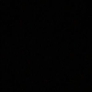 Meet your Posher, Laila